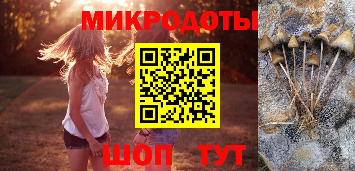 Галлюциногенные грибы GOLDEN TEACHER  Псилоцибиновые грибы Magic Shrooms  Вход с VPN  магазин    Шебекино 